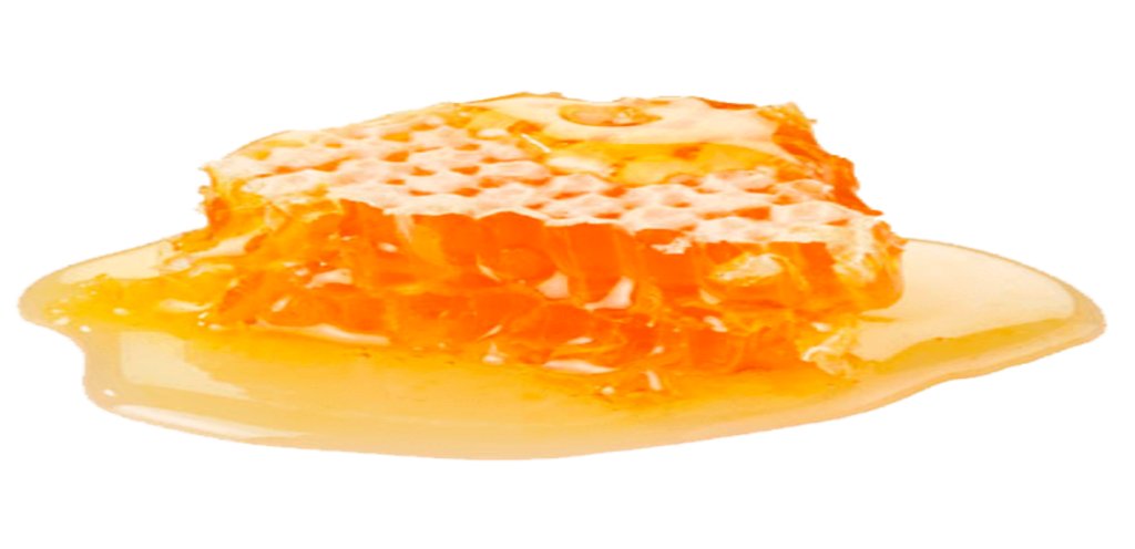 عسل النحل