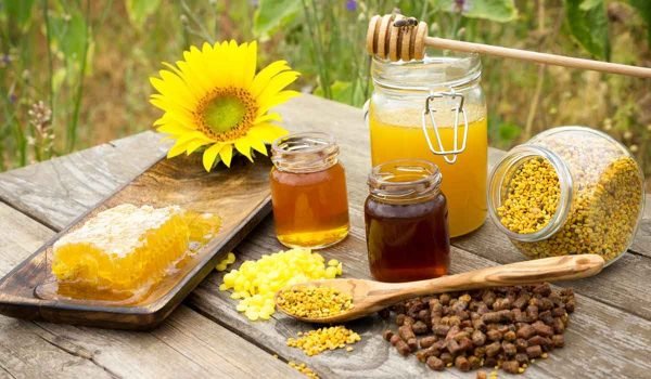 تحسين تغذية الملكات لزيادة عمرها وانتاجيتها